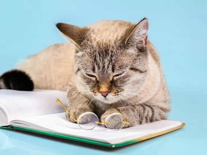Keeping a "Cool Head" When Reading Blogs