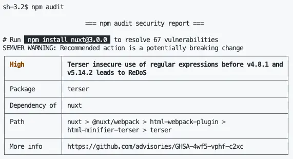 npm audit
