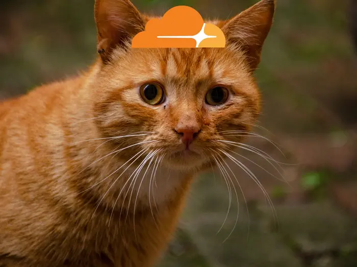 Thêm một công cụ "Tunnel Locally" - Đưa máy chủ cục bộ lên Internet