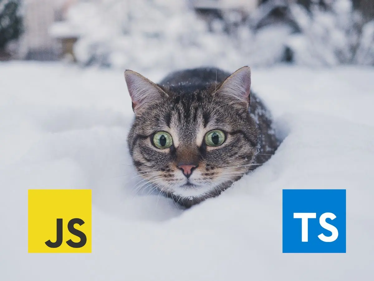 Guess what, JavaScript is getting types