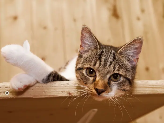 Tính năng lọc bài viết theo thẻ và quay lại vị trí trước đó!