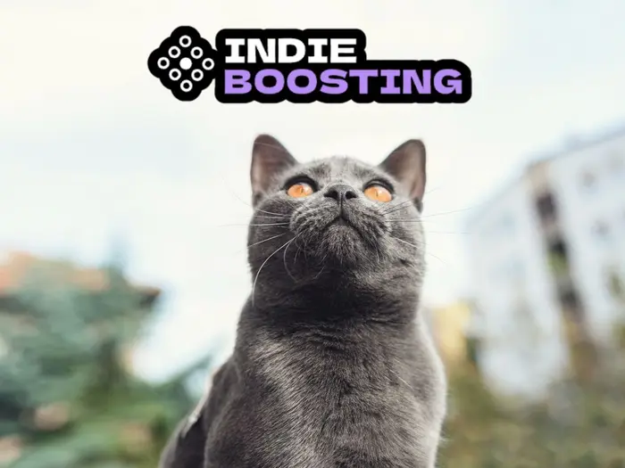 How I Made Money from Blogging with IndieBoosting